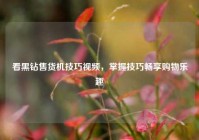 看黑钻售货机技巧视频，掌握技巧畅享购物乐趣