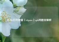 PUBG打开弹窗（tslgame）apk问题全解析