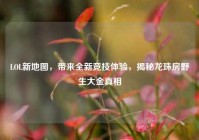 LOL新地图，带来全新竞技体验，揭秘龙珠房野生大金真相
