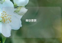 南安普敦