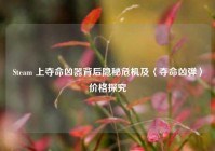 Steam 上夺命凶器背后隐秘危机及〈夺命凶弹〉价格探究