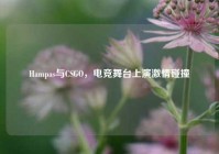 Hampas与CSGO，电竞舞台上演激情碰撞