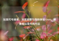 玩家代号视角，深度洞察与独特体验 CSGO，附查看玩家代码方法