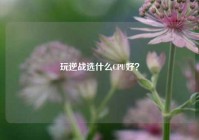 玩逆战选什么CPU好？