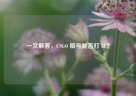 一文解答，CSGO 租号能否打 5E？