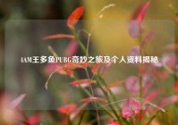 4AM王多鱼PUBG奇妙之旅及个人资料揭秘