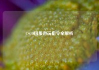 CSGO国服游玩指令全解析