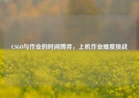 CSGO与作业的时间博弈，上机作业难度挑战