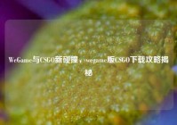WeGame与CSGO新碰撞，wegame版CSGO下载攻略揭秘