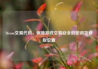 Steam交易代码，保障游戏交易安全的密钥及获取位置