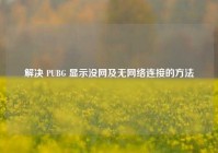 解决 PUBG 显示没网及无网络连接的方法