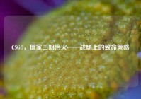 CSGO，匪家三明治火——战场上的致命策略