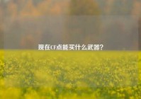 现在CF点能买什么武器？