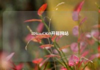 88SkinsCSGO开箱网站