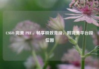 CSGO 完美 PRE，畅享极致竞技，附完美平台段位图