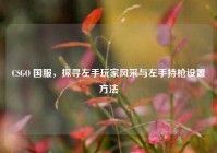 CSGO 国服，探寻左手玩家风采与左手持枪设置方法