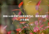 探秘CSGO标签梗与标签设置方法，游戏世界的欢乐密码