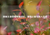 探秘王者荣耀辉耀战队，璀璨之星与加入方式