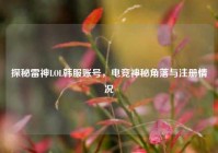 探秘雷神LOL韩服账号，电竞神秘角落与注册情况