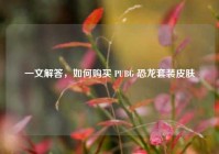 一文解答，如何购买 PUBG 恐龙套装皮肤