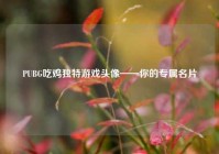 PUBG吃鸡独特游戏头像——你的专属名片