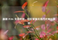 最新 PUBG 充值教程，轻松掌握充值方式畅玩游戏