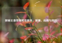 探秘王者荣耀爬虫脚本，原理、应用与风险