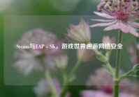 Steam与EAP - SK，游戏世界邂逅网络安全
