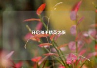 开启和平精英之旅