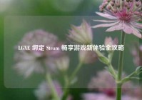 LGXE 绑定 Steam 畅享游戏新体验全攻略
