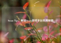 Steam Tips，解锁Steam游戏平台实用秘籍