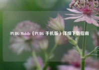 PUBG Mobile（PUBG 手机版）详细下载指南