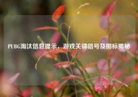 PUBG淘汰信息提示，游戏关键信号及图标揭秘
