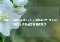 倒卖Steam黑号获刑引关注，网络安全红线不容触碰，卖号是否违法成焦点