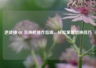 逆战换 QE 及换枪操作指南，轻松掌握切换技巧