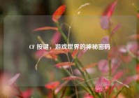 CF 按键，游戏世界的神秘密码
