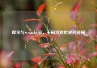 摩尔与Steam玩家，不同游戏世界的碰撞
