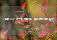 解析 CSGO 游戏权力架构，最高单位是什么？