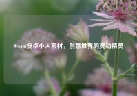 Steam安卓小人素材，创意世界的灵动精灵