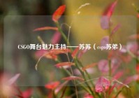 CSGO舞台魅力主持——苏苏（csgo苏弟）