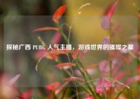 探秘广西 PUBG 人气主播，游戏世界的璀璨之星