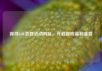 探寻LOL百胜活动网址，开启游戏福利盛宴