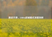 激战不停，COD16战域模式深度剖析