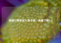 探秘CF界知名人物子涵，全面了解TA！