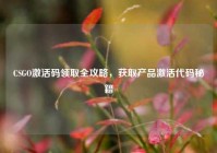 CSGO激活码领取全攻略，获取产品激活代码秘籍