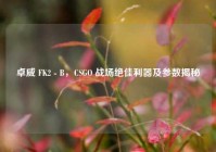 卓威 FK2 - B，CSGO 战场绝佳利器及参数揭秘