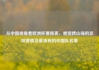 从中国视角看欧洲杯赛程表，感受跨山海的足球激情及莫须有的中国队名单