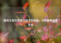 摒弃王者女英雄污段子及海报，守护健康游戏文化
