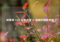 探索将 CSGO 设置改成 CF 风格的别样体验