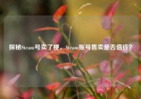 探秘Steam号卖了梗，Steam账号售卖是否值钱？